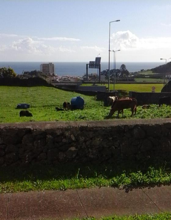 Ocean View Flat Leilighet Ponta Delgada Eksteriør bilde